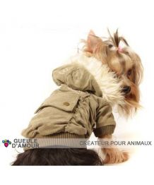 Boutique chien : Acheter pas cher en ligne des articles pour Chien