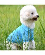 Dog polo shirt - blue