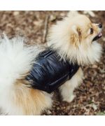 down jacket for spitz