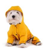 raincoat for Maltese