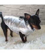 chaqueta impermeable bulldog frances