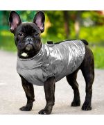 waterproof French bulldog jacket