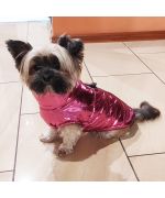 pink yorkshire dog coat