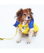 manteau chien jaune original pour sports d'hiver