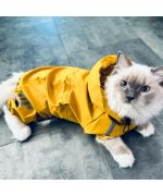 raincoat for cat