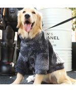 warm coat for labrador