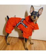 abrigo con arnés integrado para perros
