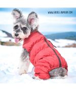 manteaux de ski pour chien