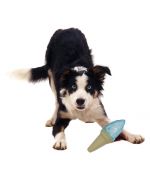 refreshing toys for dogs