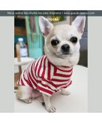 Camiseta de rayas chic para perros