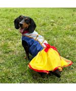 dog costume dress