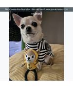 Chic striped dog undershirt