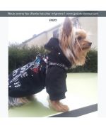 Proveedor de suéter con capucha de pedrería "Love Mouth" para perros y gatos, accesorios de pedrería para animales, collares de
