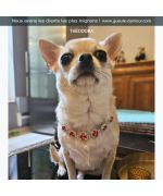 red rhinestone collar for small dog