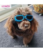 Sunglasses for small dog boutique Maw Love