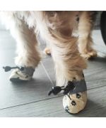 zapato para perros contra suelos calientes