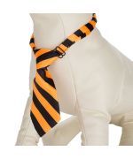 Festive tie for dogs and cats - black and orange striped