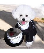 reflective dog suit