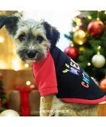 pull pour chien cadeau noel