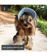 gorra para el pequeño yorkshire