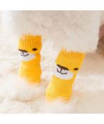 protection patte de chien chaussette