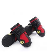 chaussures de neige pour les grands chiens