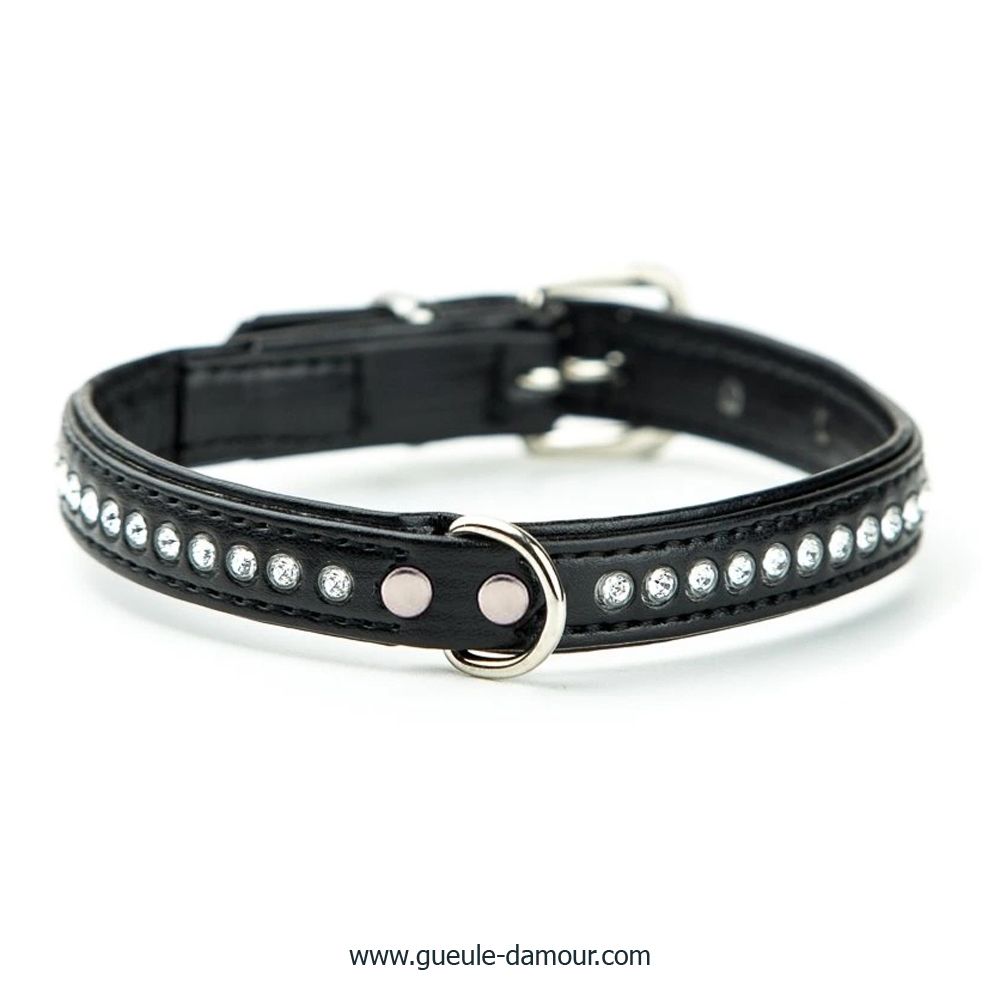 collar negro de strass para caniche