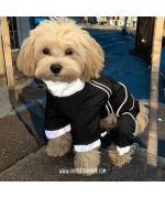 black waterproof dog suit