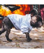 sweat pour bouledogue français