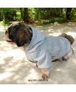 sweat a capuche chien