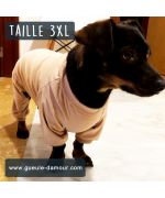 combinaison pour chien teckel