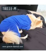 chihuahua jumpsuit