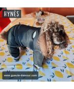 black waterproof dog suit