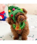 accessoires de Noel pour petit chien