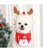 Christmas accessories for spitz