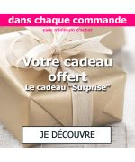 cadeau surprise pour chien