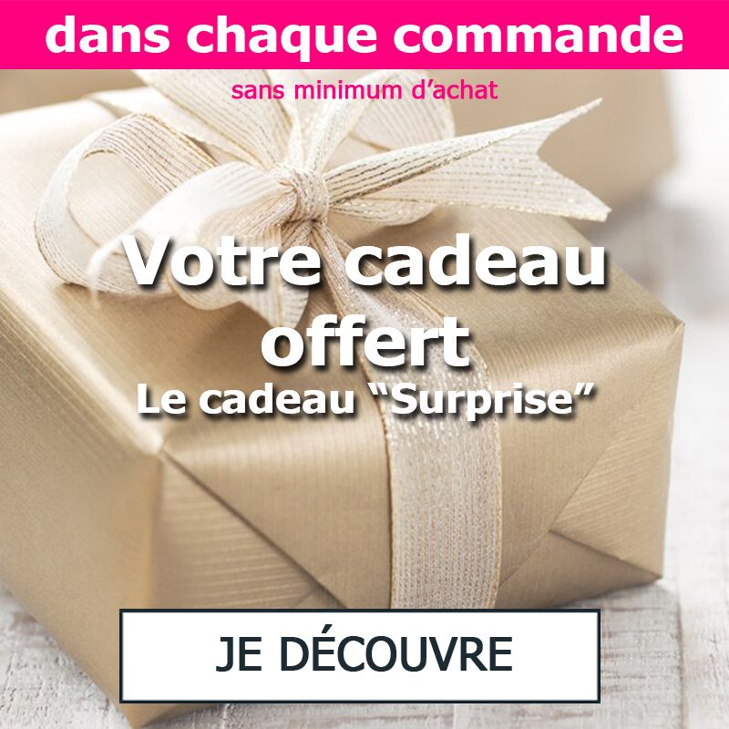 cadeau surprise pour chien