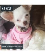 tshirt rose pour petit chihuahua bébé