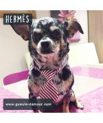 hermès - cravate chihuahua