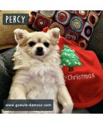 Jersey navideño con capucha para perro rojo regalo original boca de amor Francia