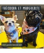 Foulard d'Halloween pour animaux