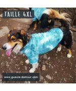 manteau pour chien de berger