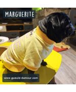 marguerite - carlin et son pull tout chaud