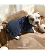 pyjama pour bouledogue angais