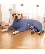 pyjama pour chiot labrador