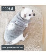 pyjama pour chihuahua