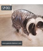 silver dog coat