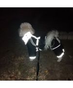 black waterproof dog suit