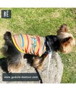 camiseta para perros pequeños