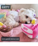 happy et jouets anniversaire pour petit chien